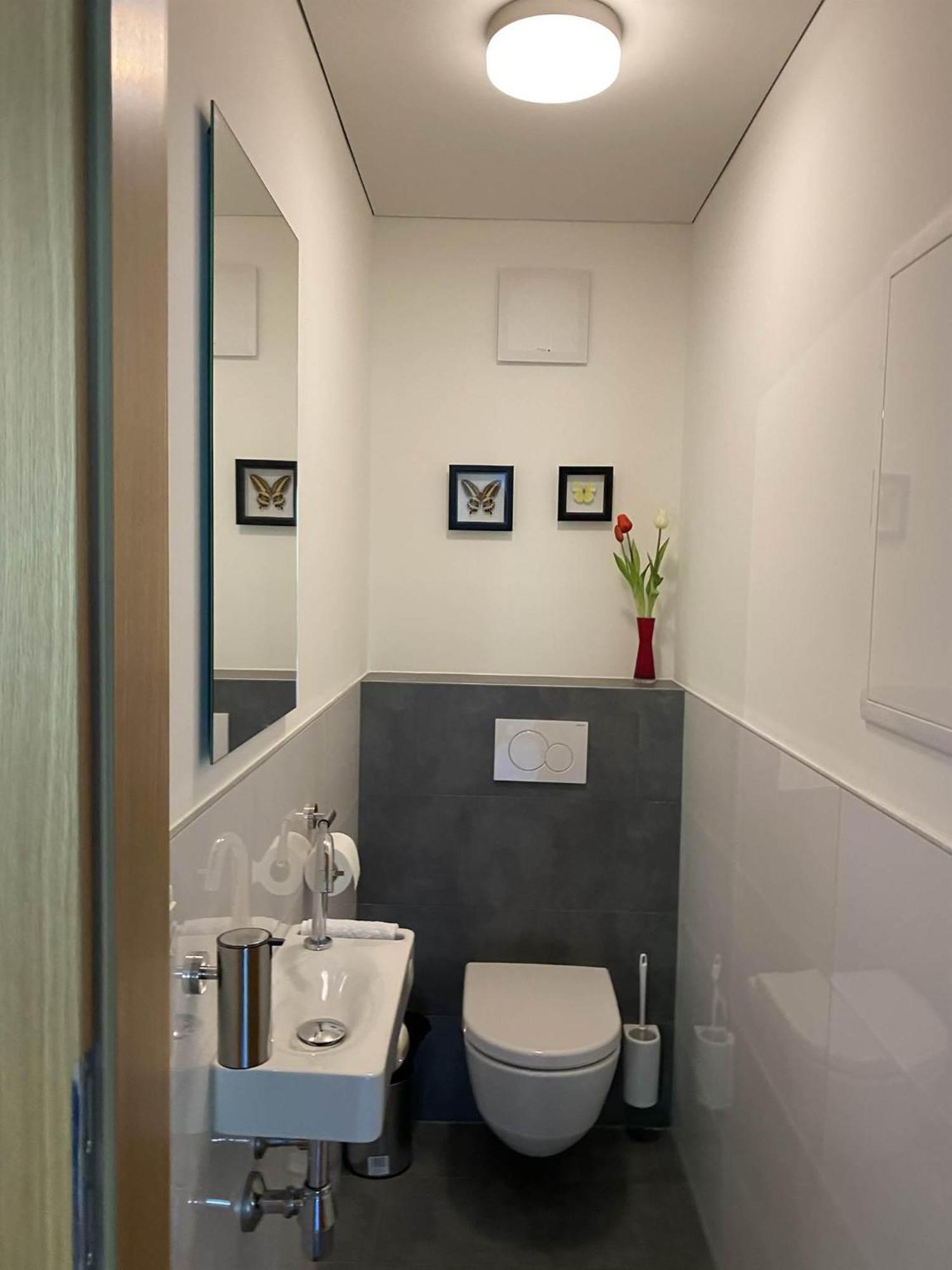 Haus Albuin Apartment ซังคท์กัลเลนเคียร์ช ภายนอก รูปภาพ
